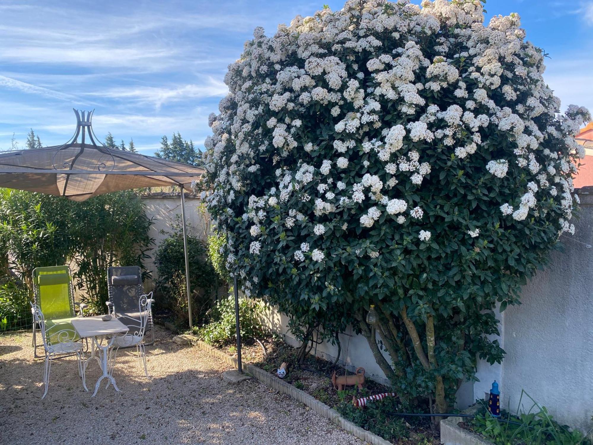 La Roubine, Velleron Villa Buitenkant foto